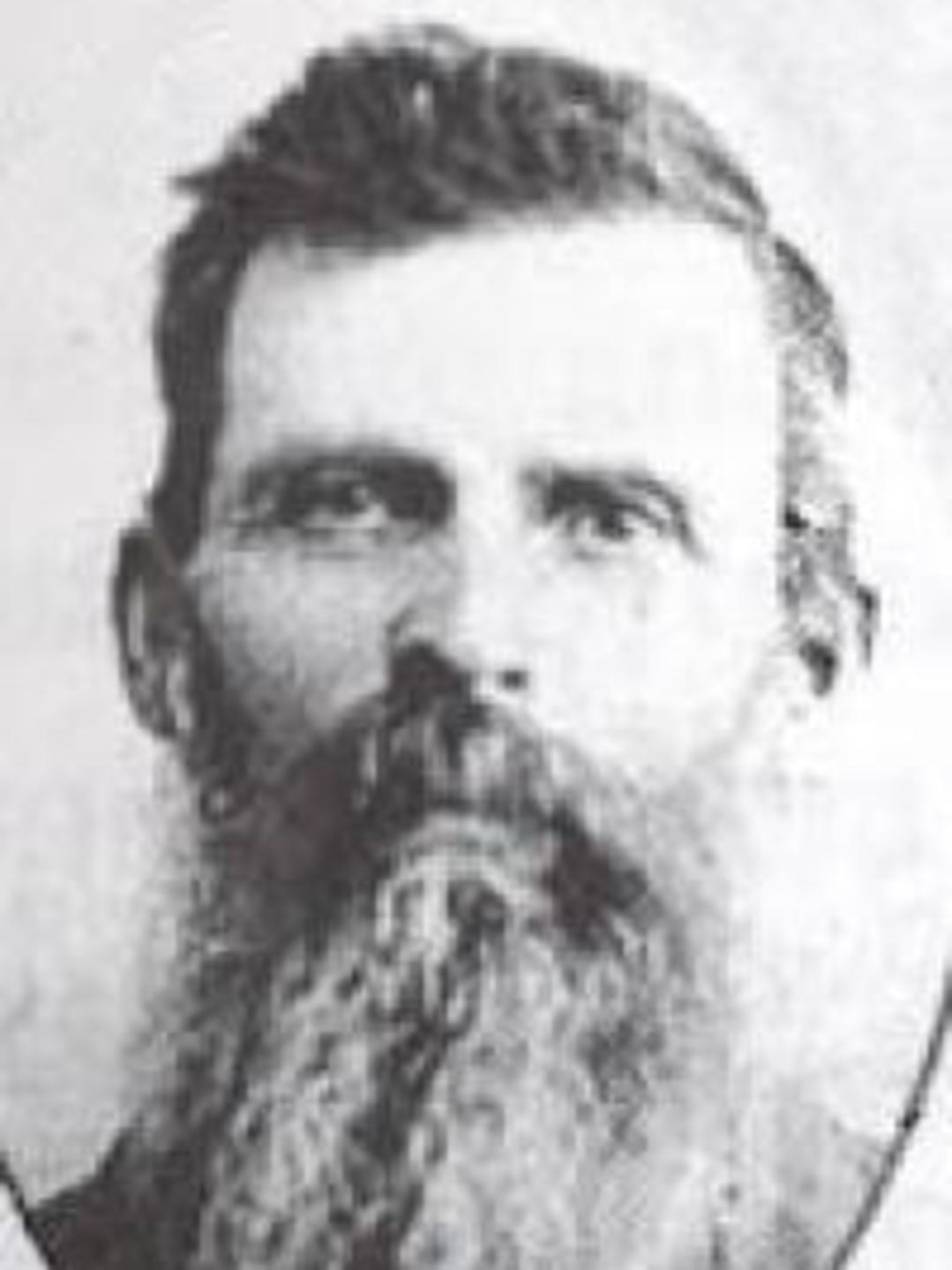 Don Carlos Babbitt (1843 - 1912) Profile